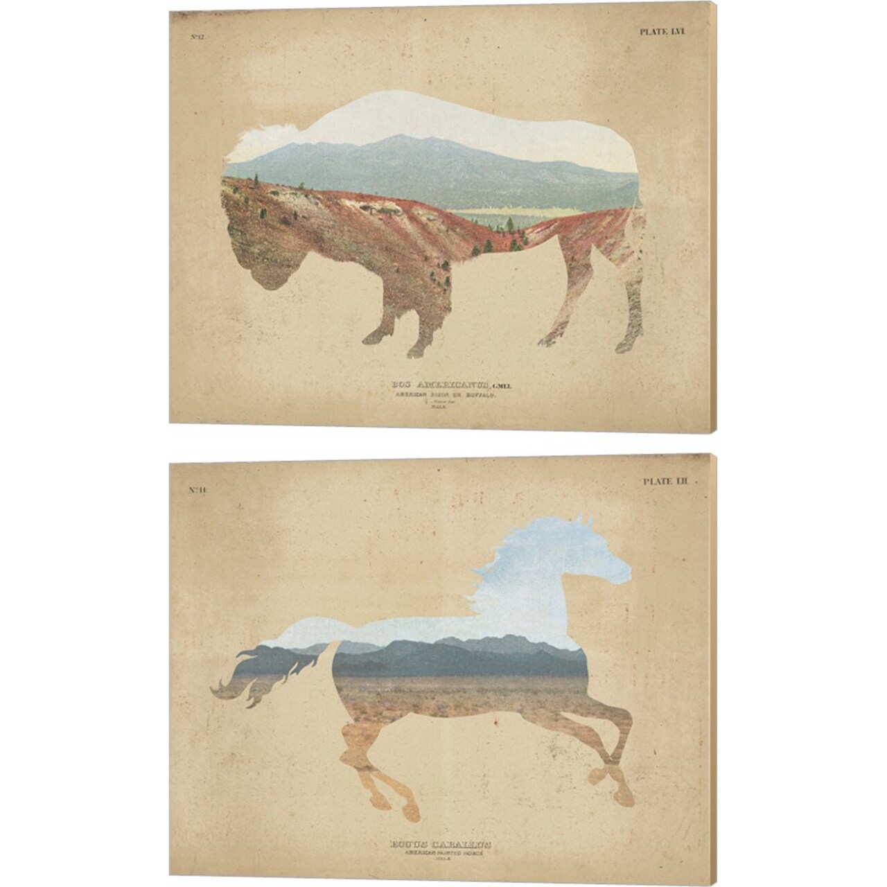American Southwest Buffalo & Horse Distressed by Wild Apple Portfolio 15" x 12" Canvas Wall Art (Set of 2)